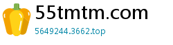 55tmtm.com